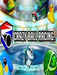 Crazy Ball Racing