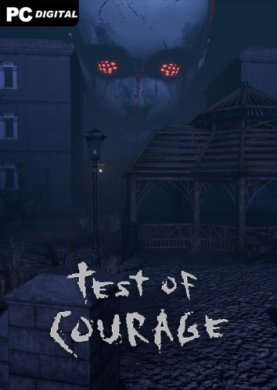 Test Of Courage