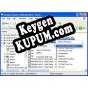 Бесплатный ключ для Anapod Explorer