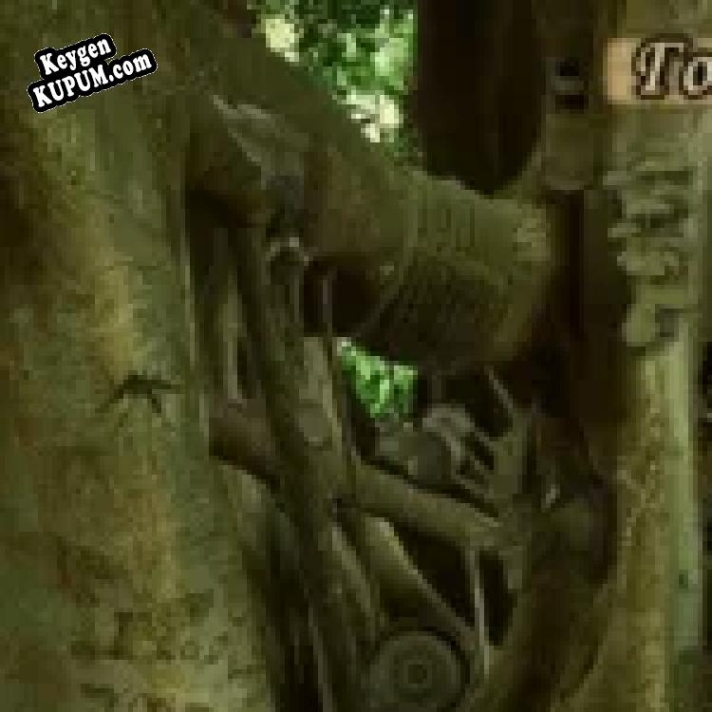 Камень судьбы генератор ключей