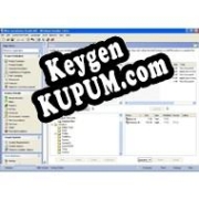 Wise Installation System ключ активации